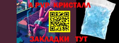 ешки Кингисепп