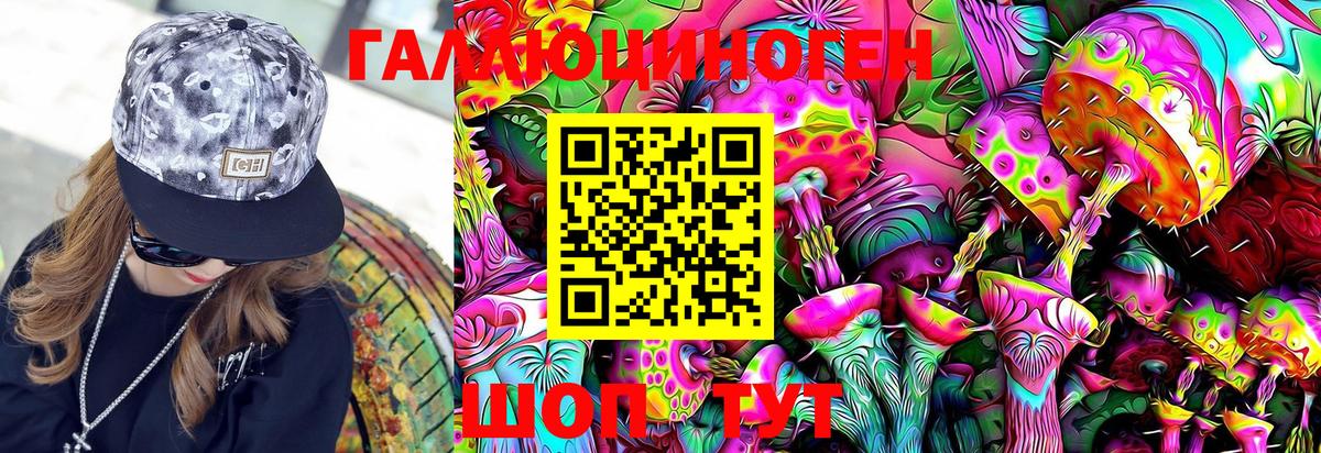 Кировск  Псилоцибиновые грибы Magic Shrooms  магазин  наркотиков  Вход с VPN 